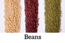 protein limit for CKD blog: beans