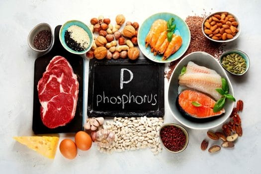 phosphorus foods