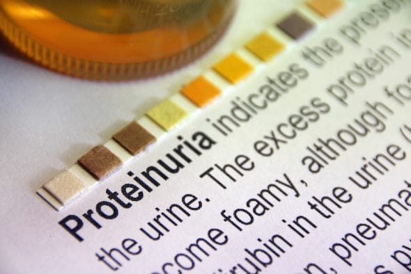proteinuria meaning