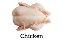 protein-chicken