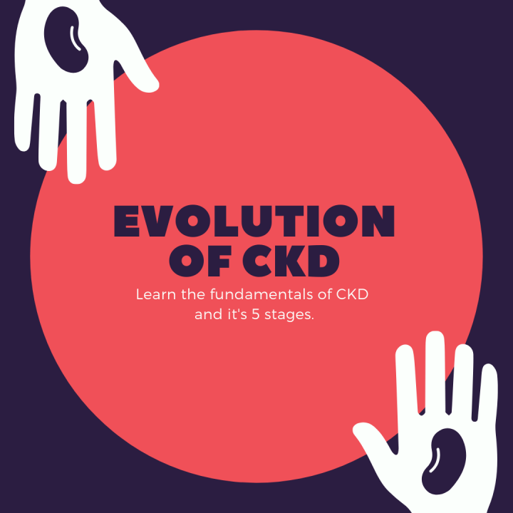 CKD Evolution