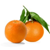 oranges