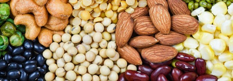 plant-based-protein-lead