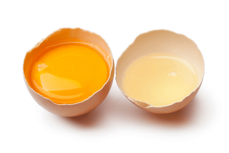 Egg Egg