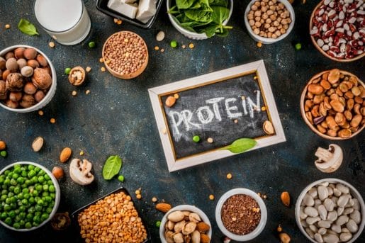 protein diet and foods
