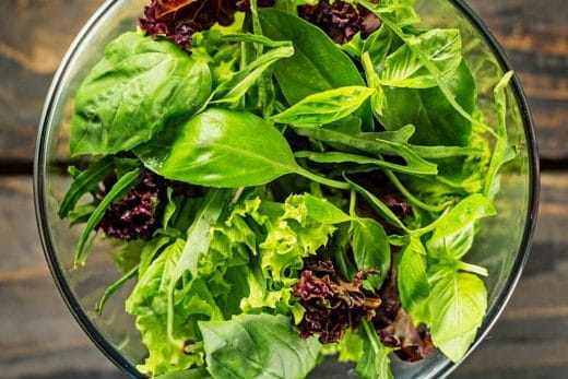 Base or Underliner salad kidney diet salad in a bowl