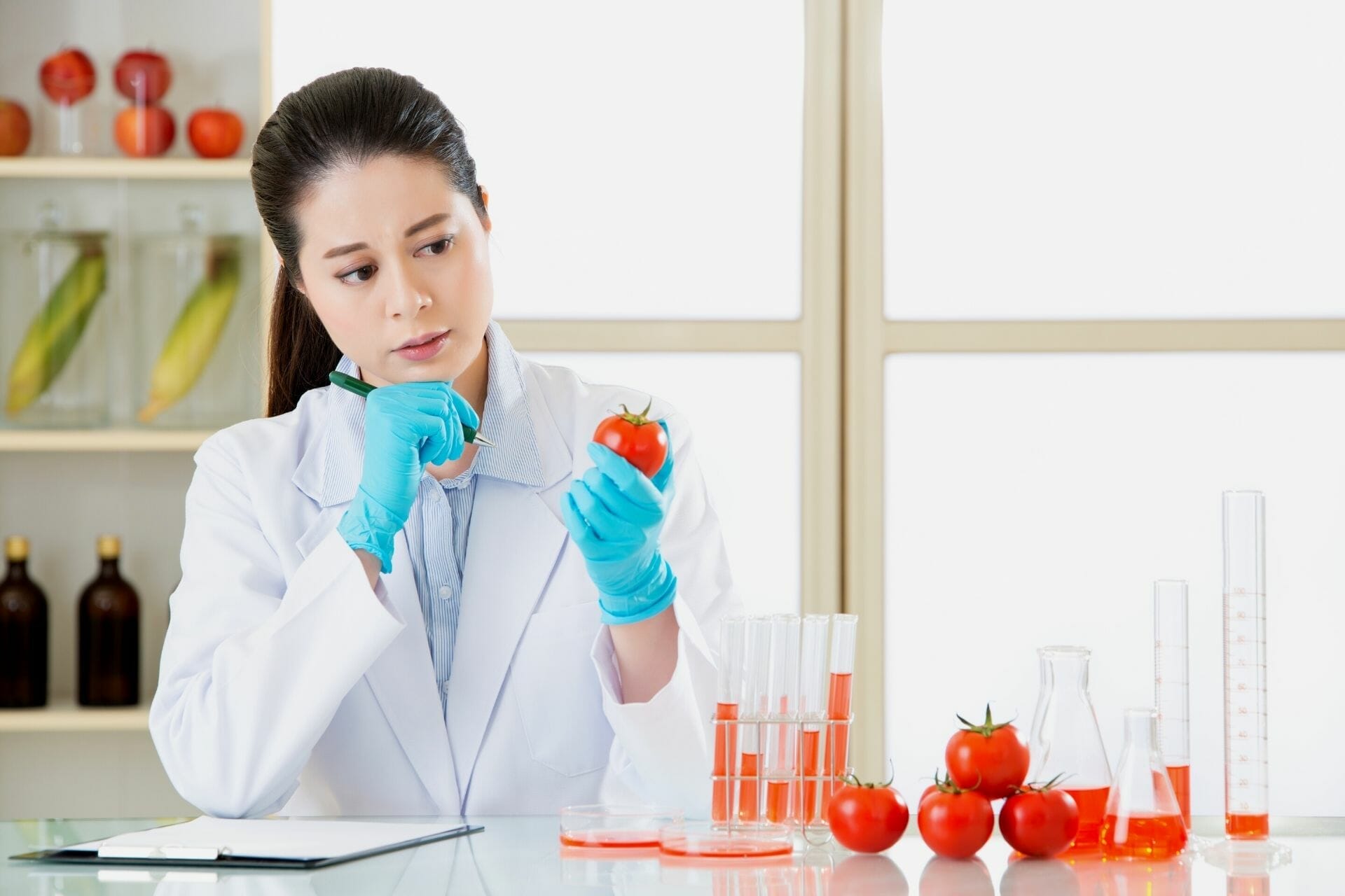 Tomatoes and CKD Are Tomatoes Good for CKD Patients?