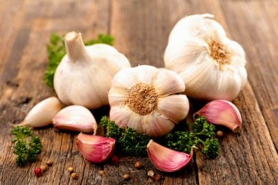 Garlic Garlic
