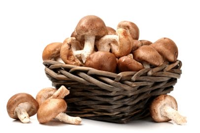 Shiitake mushrooms Shiitake mushrooms