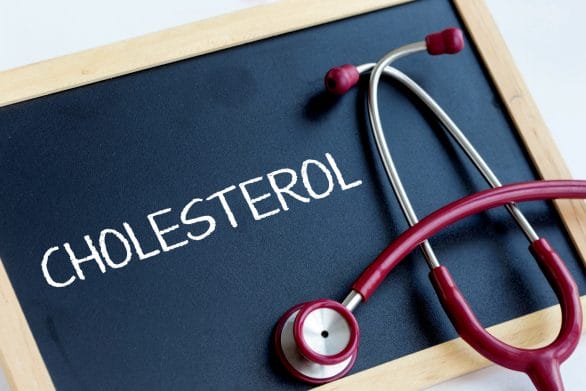 What is Cholesterol_