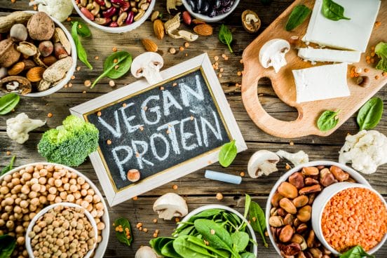 plant based protein plant based protein