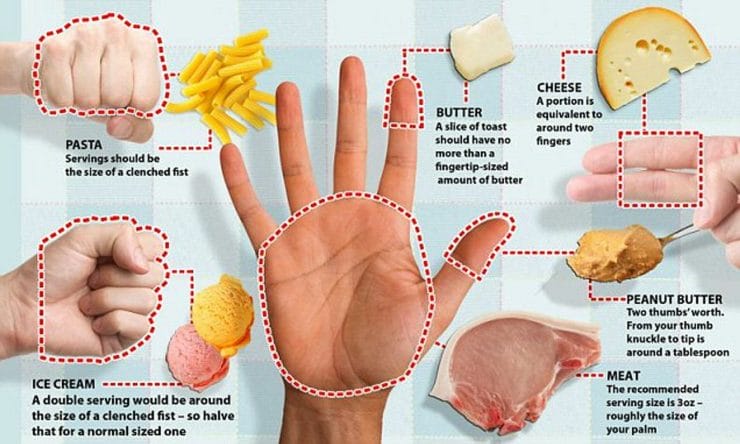 Food Portion Control ckd portion control