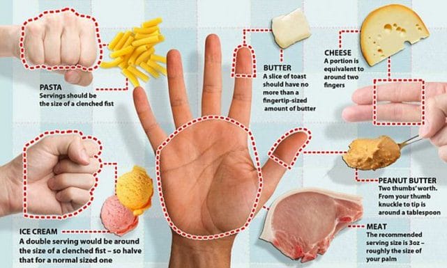 Food Portion Control Tips