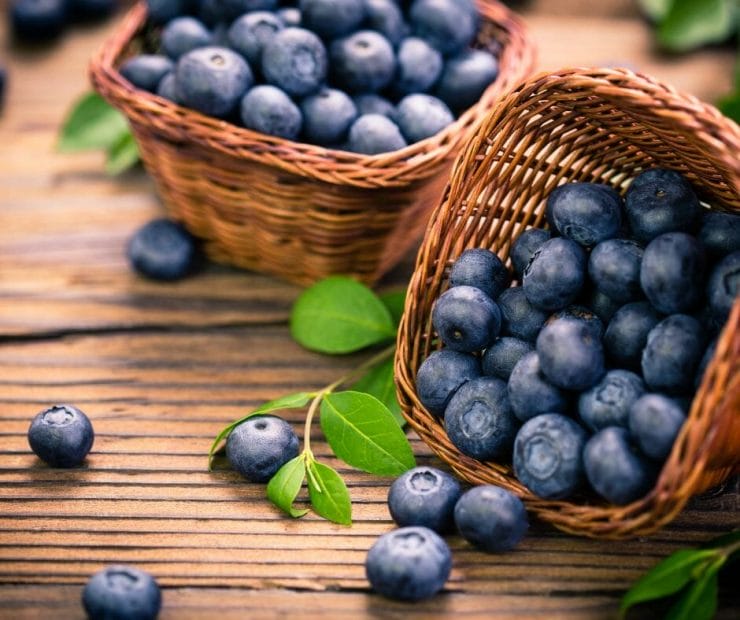 blueberry for kidney disease