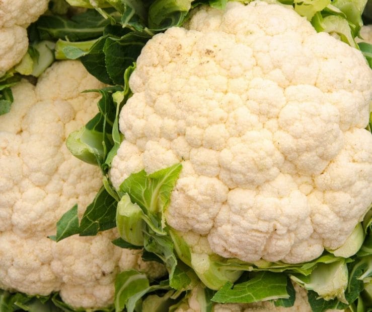 Cauliflower cauliflower and kidney disease