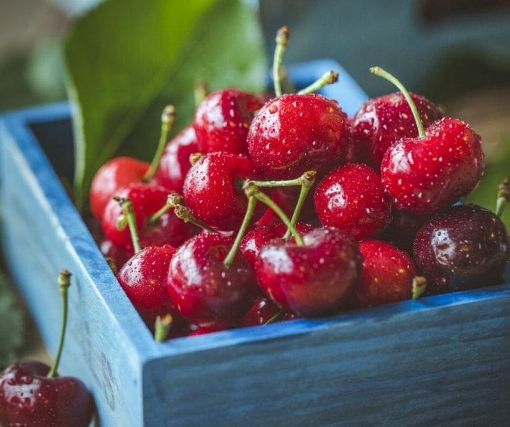Cherries cherries and kidney disease