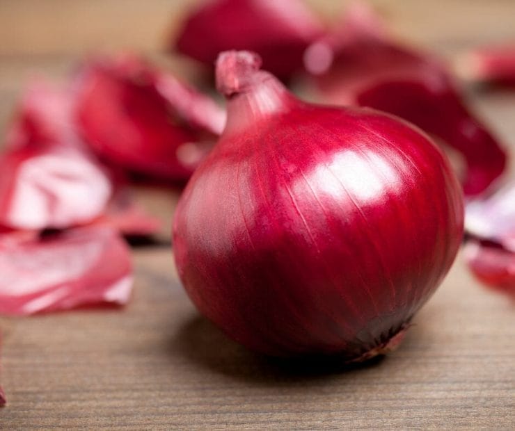 onion for ckd patients