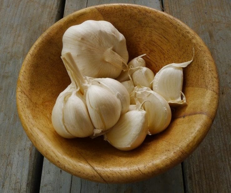 Garlic garlic and ckd