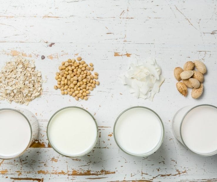 Milk and Non-Dairy