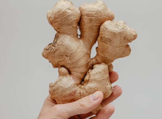 A person holding a piece of ginger.