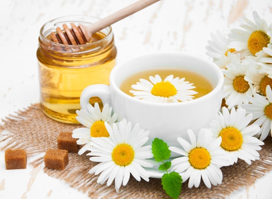 A cup of chamomile tea with a honey jar, fresh chamomiles, and sugar cubes on a rustic table.