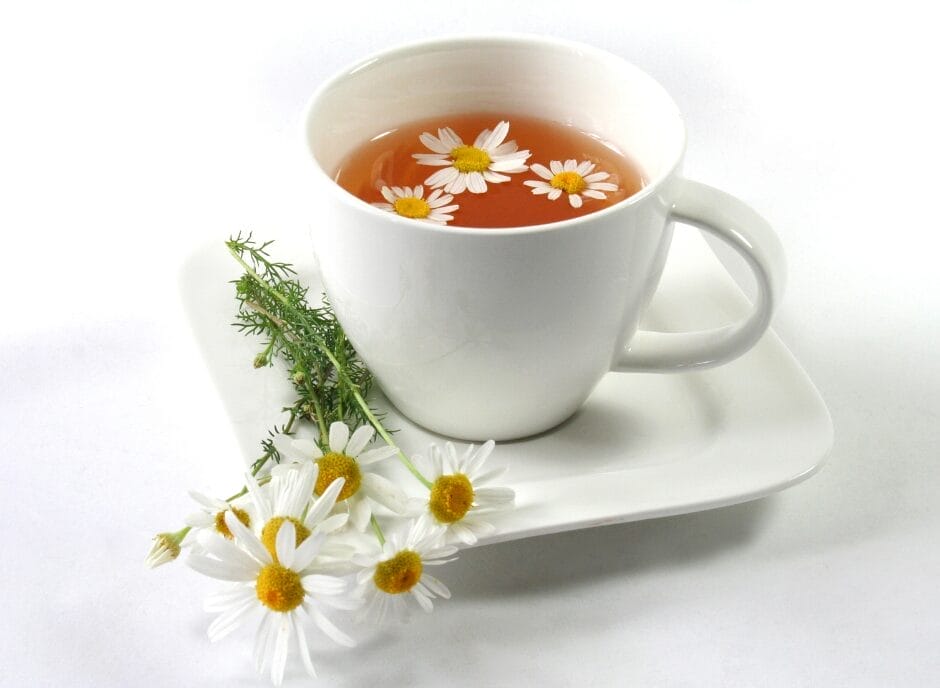 A cup of tea with daisies floating in it, accompanied by additional daisies and sprigs of herbs on a white saucer.