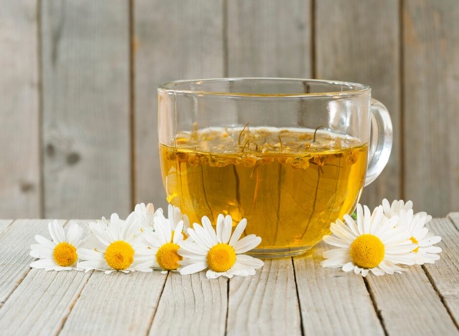 Glass cup of chamomile tea with fresh chamomile flowers on a wooden surface.