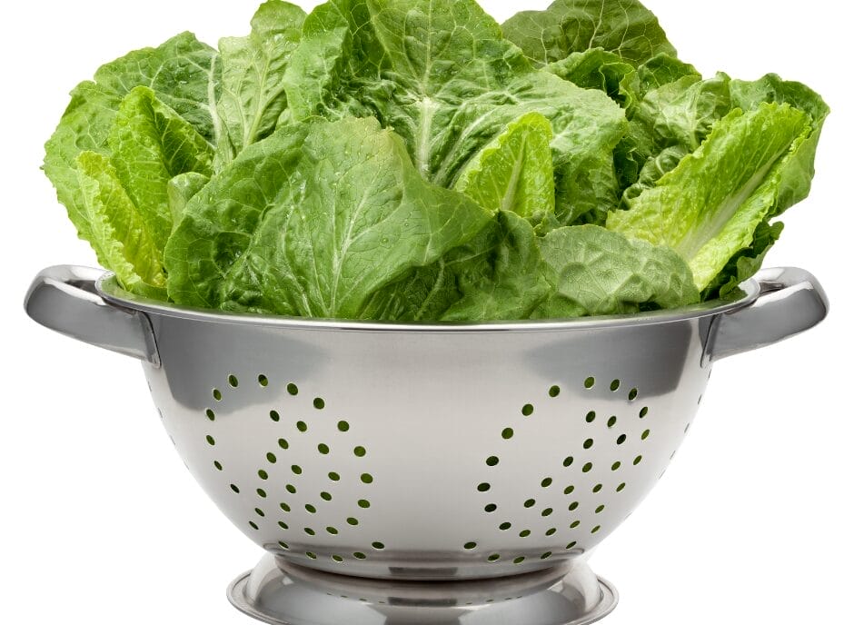 Fresh lettuce in a colander against a white background.