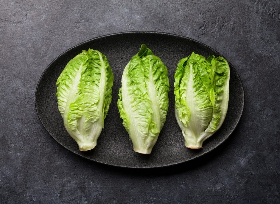 Three heads of romaine lettuce on a black oval plate against a dark grey background.